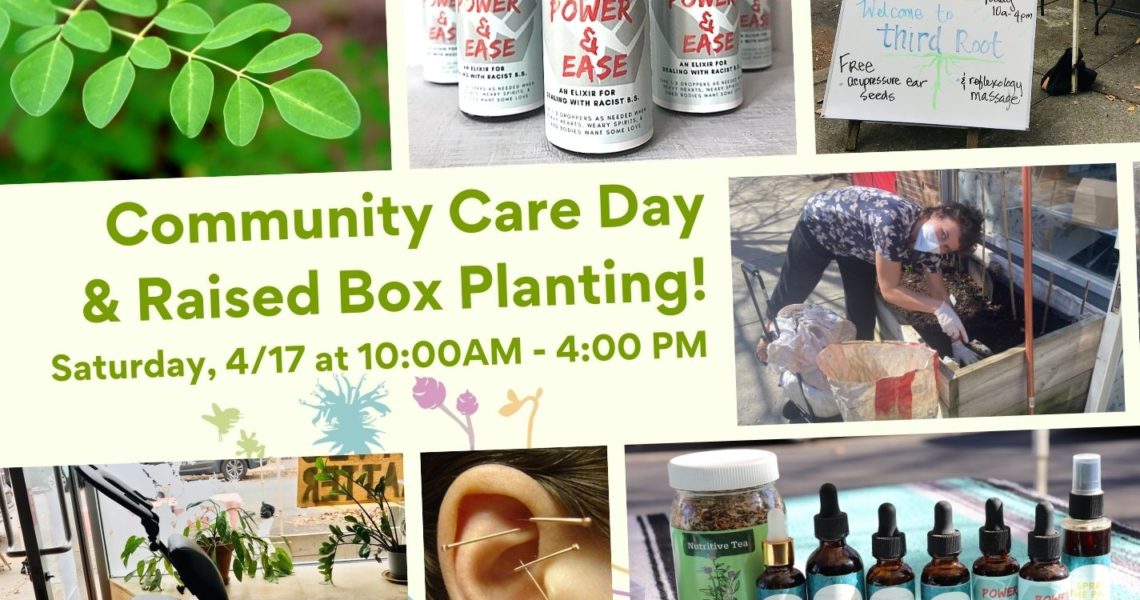 Community Care Day & Raised Box Planting!