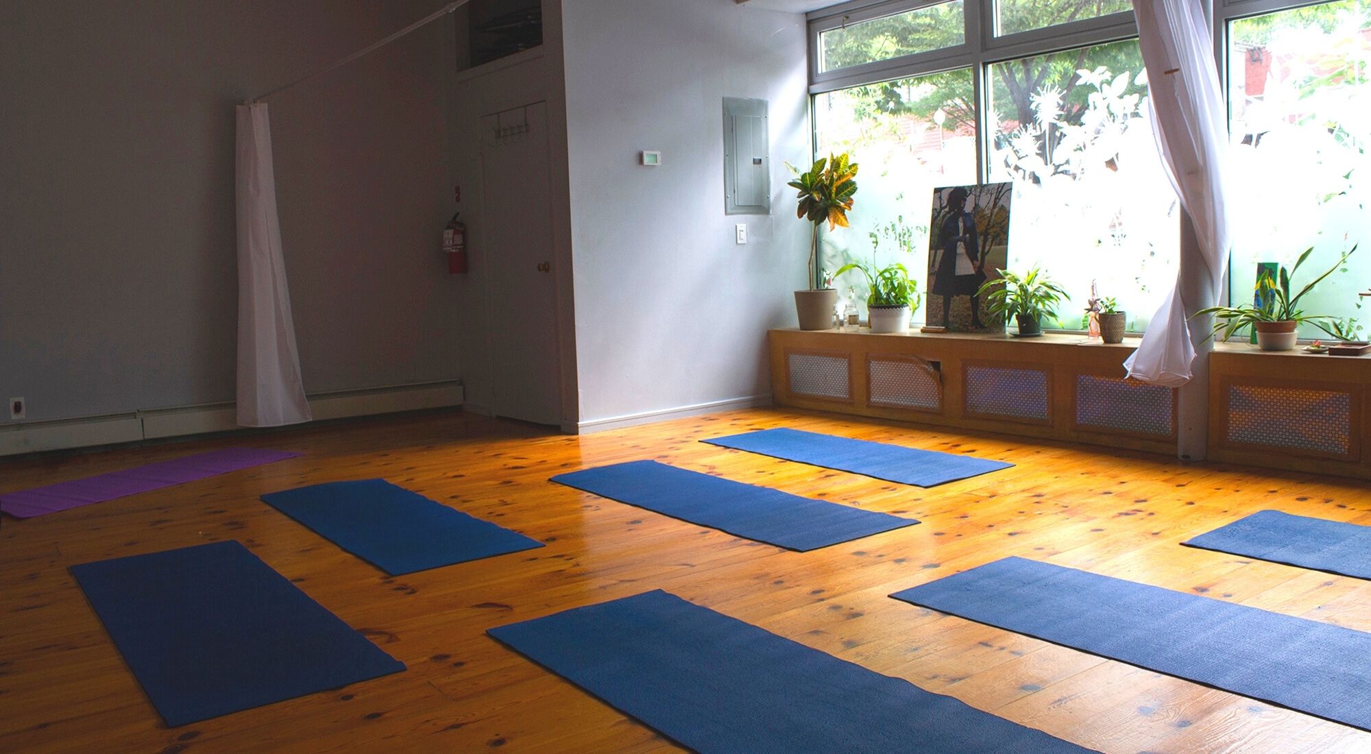 An image of Third Root's yoga room, with wood floors covered in blue yoga mats, with the windows on the right